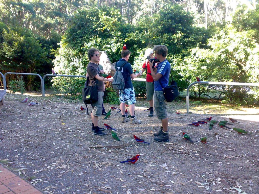 Batemans Bay Holiday Park & Hostel מראה חיצוני תמונה